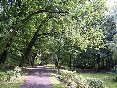 Bytomski2 park fazaniec Bytomski2 park fazaniec