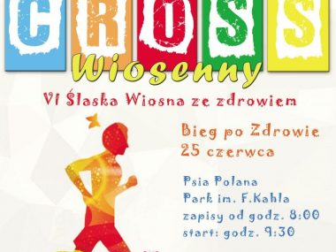 Bytomski5 cross2014