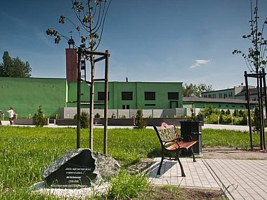 Bytomski5 lipa kochanowskiego