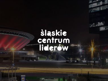 Slaskie centrum liderow Slaskie centrum liderow