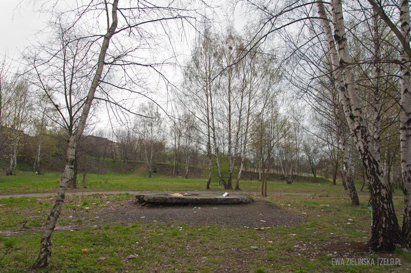 Byt bytom szynol sprzatanie park mickiewicz 133