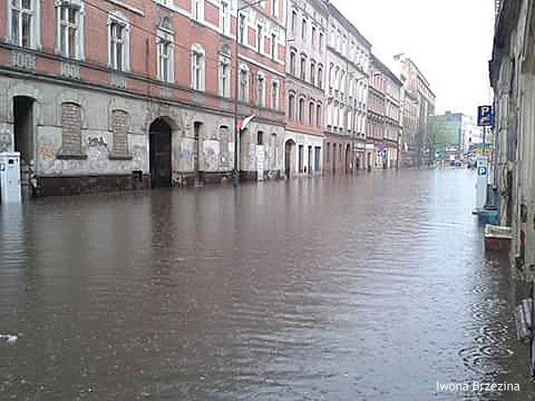 Byt iwona brzezina