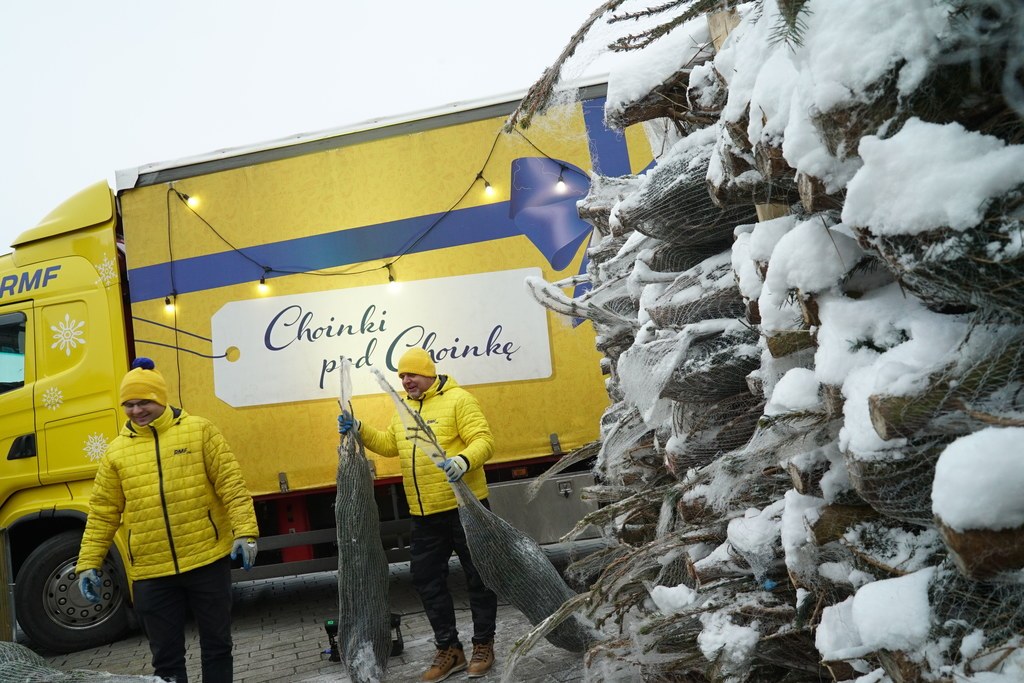 Choinki rmf 08