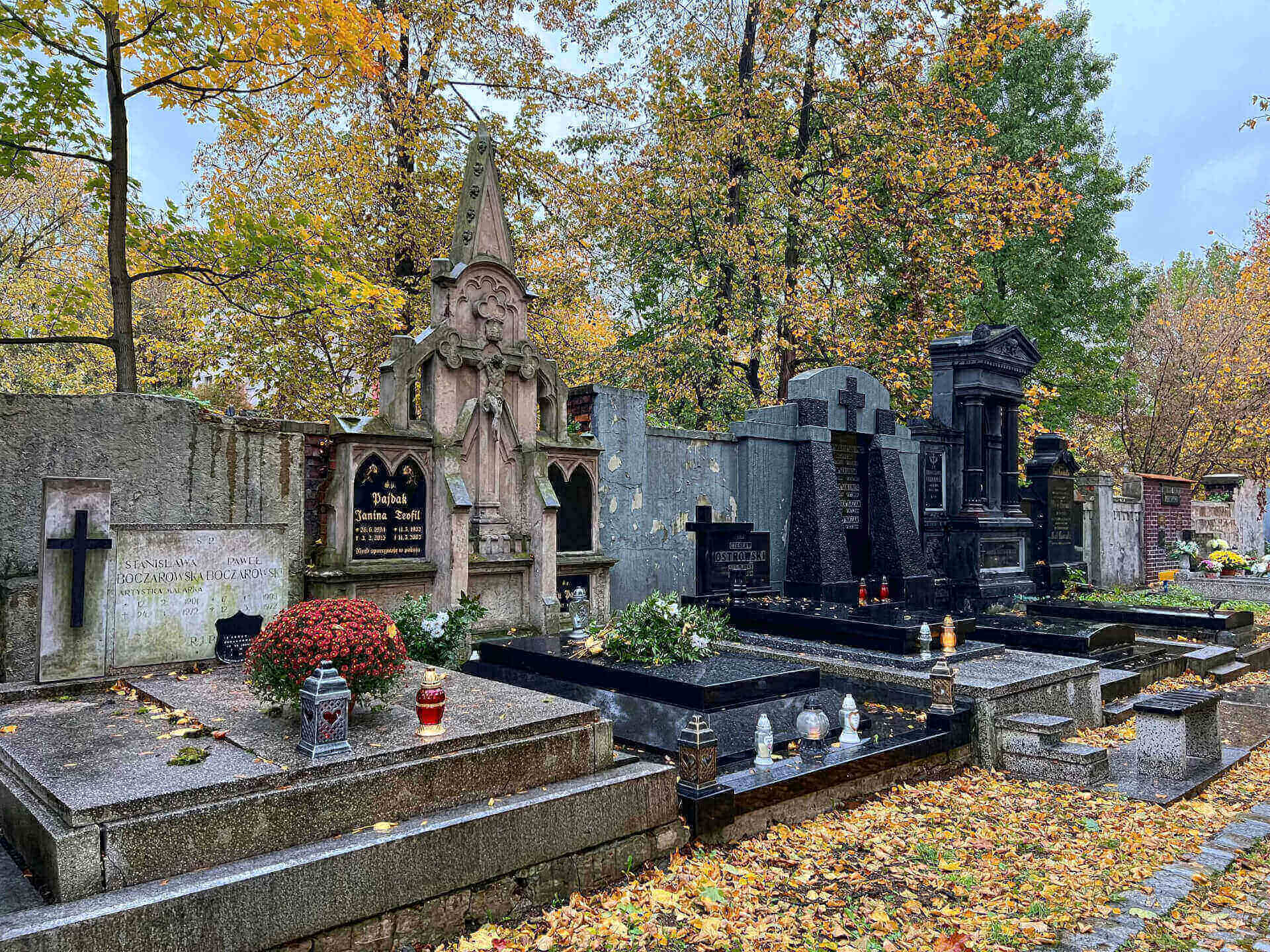 Cmentarz mater dolorosa bytom tymoteusz staniek 17