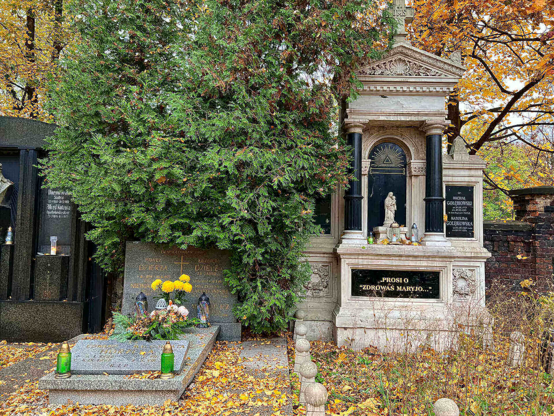 Cmentarz mater dolorosa bytom tymoteusz staniek 5