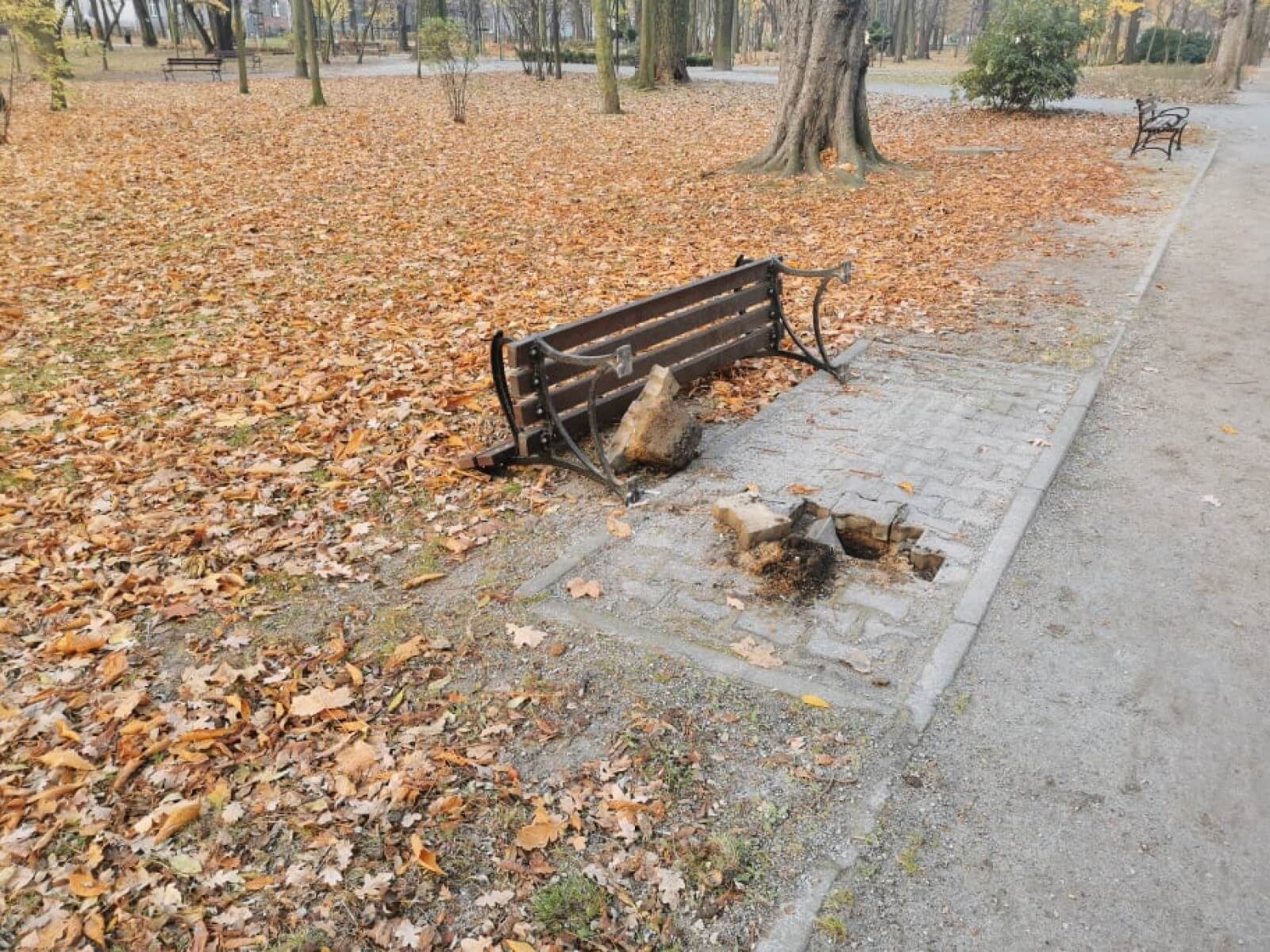 W zniszczenie ławek włożono wiele wysiłku