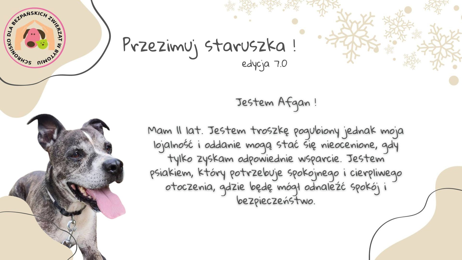 Przezimuj staruszka