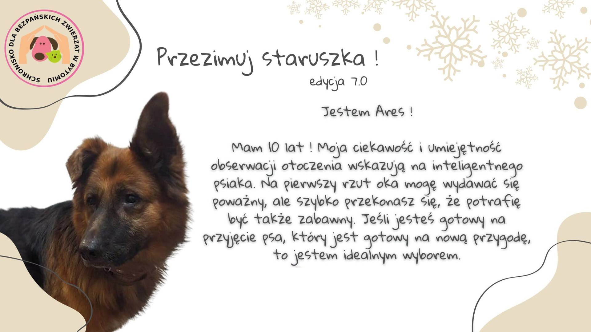 Przezimuj staruszka