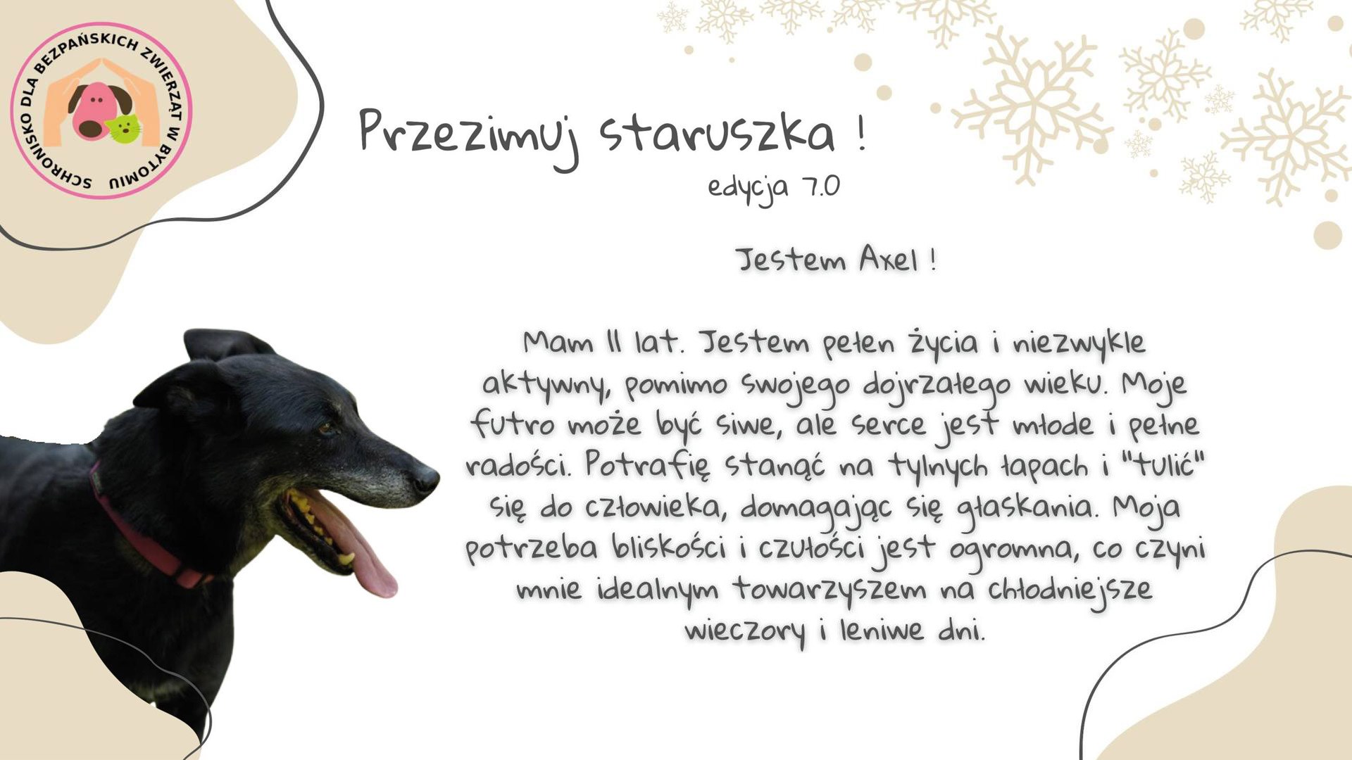 Przezimuj staruszka