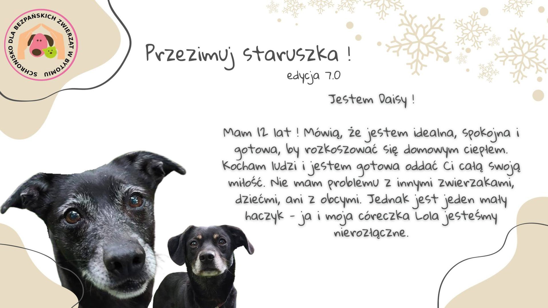 Przezimuj staruszka