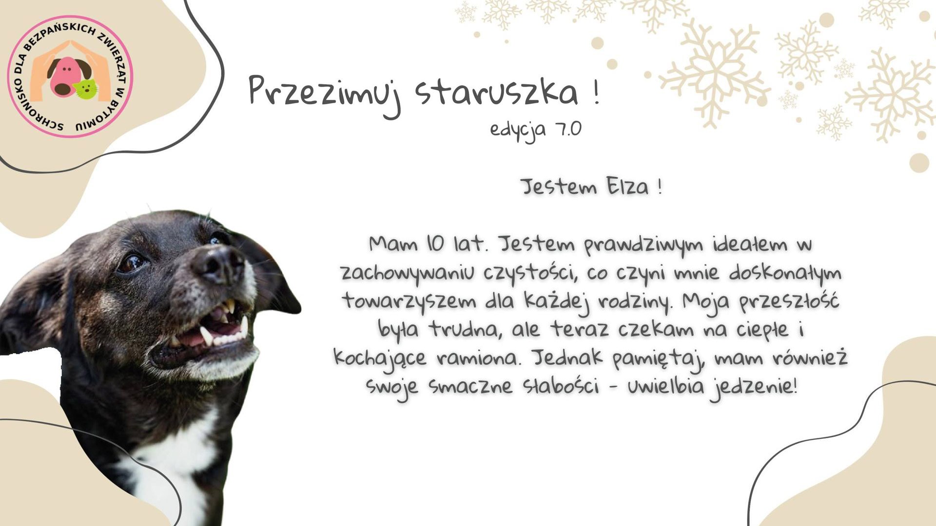 Przezimuj staruszka