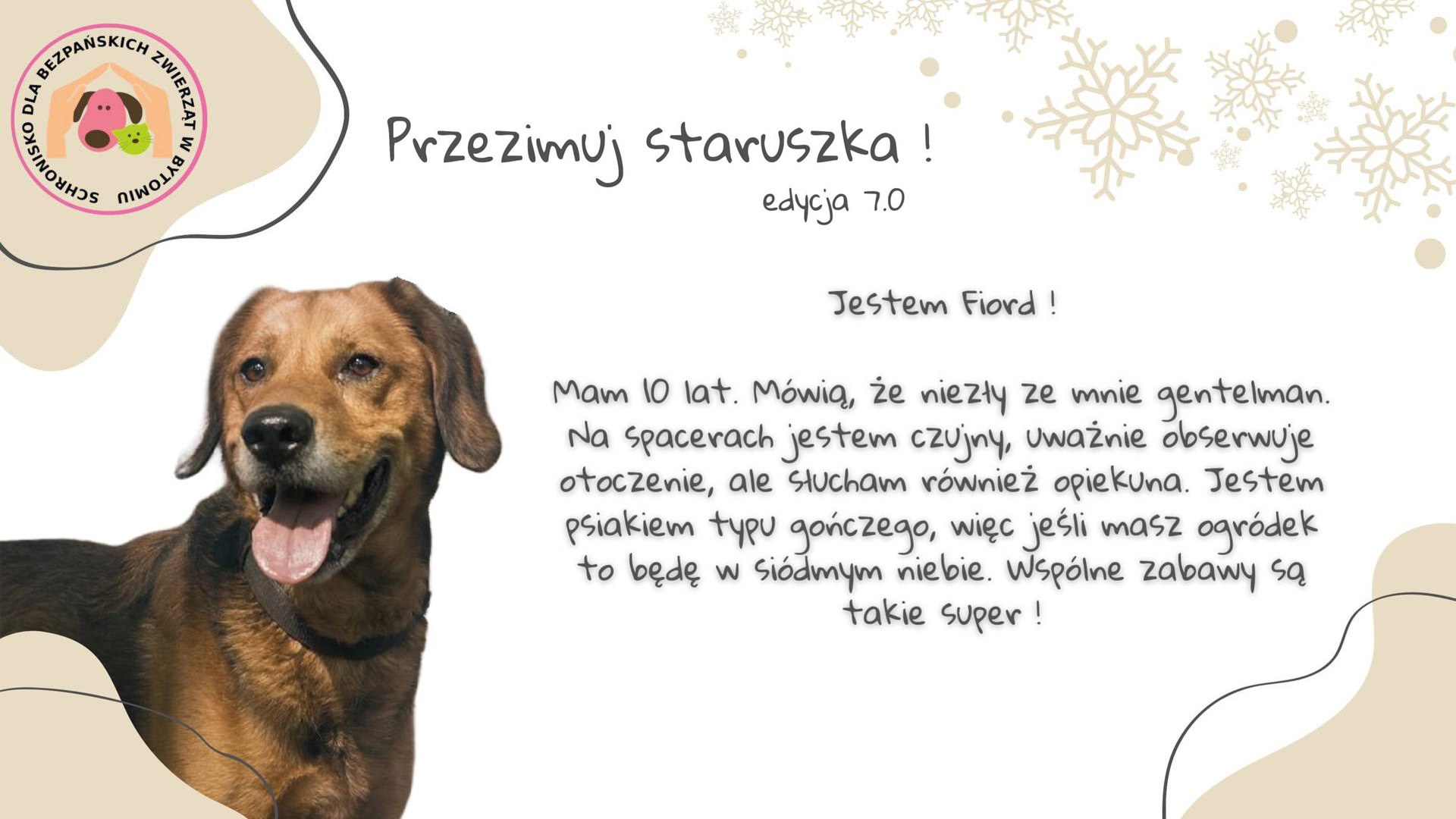 Przezimuj staruszka