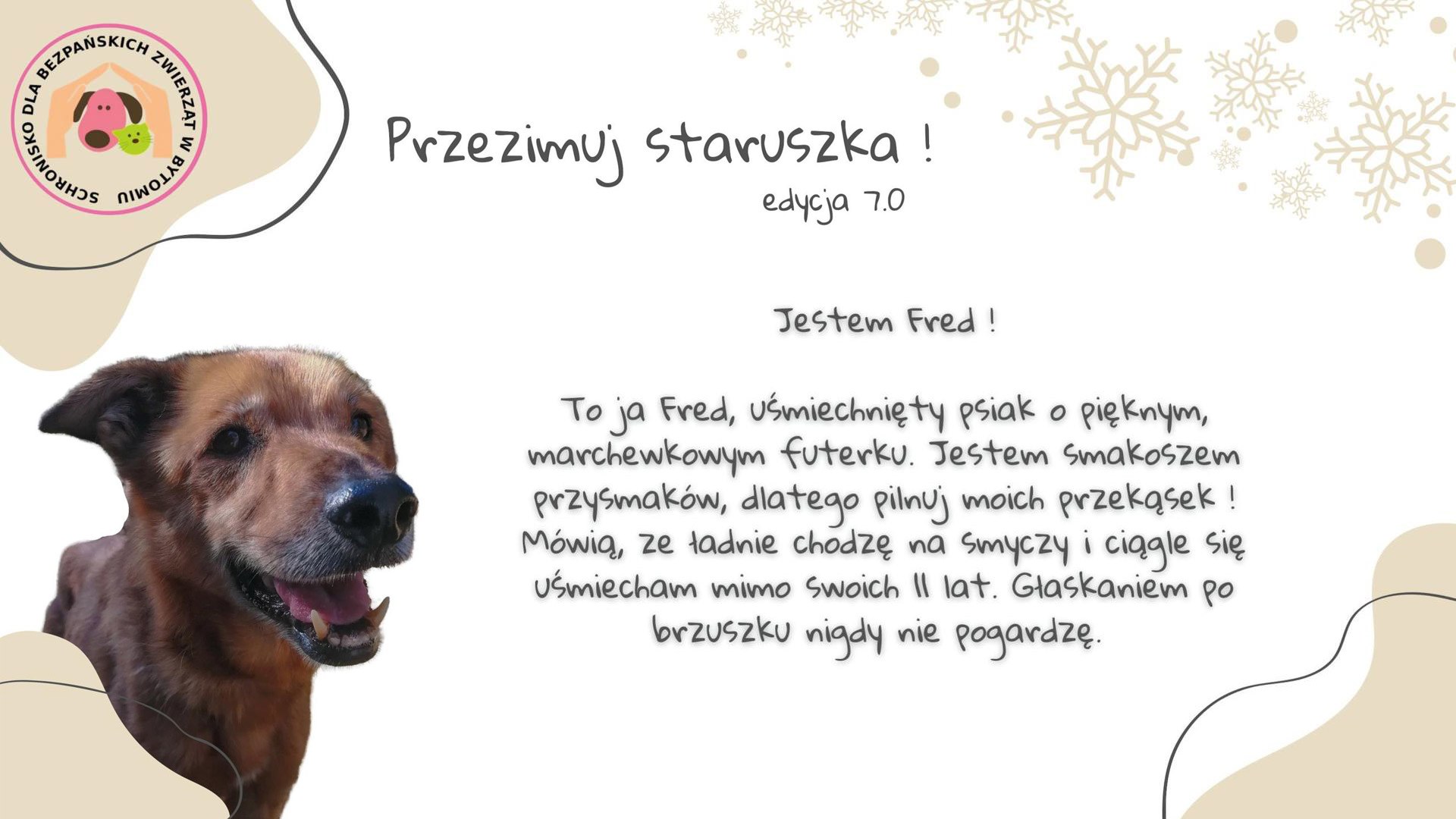 Przezimuj staruszka