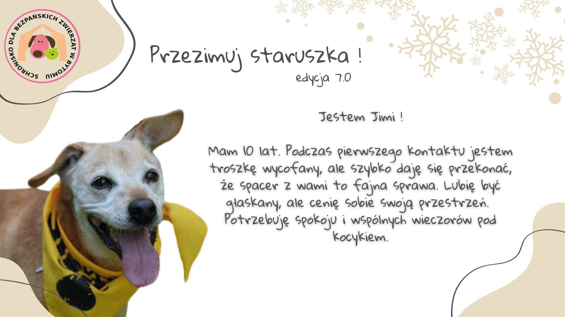 Przezimuj staruszka