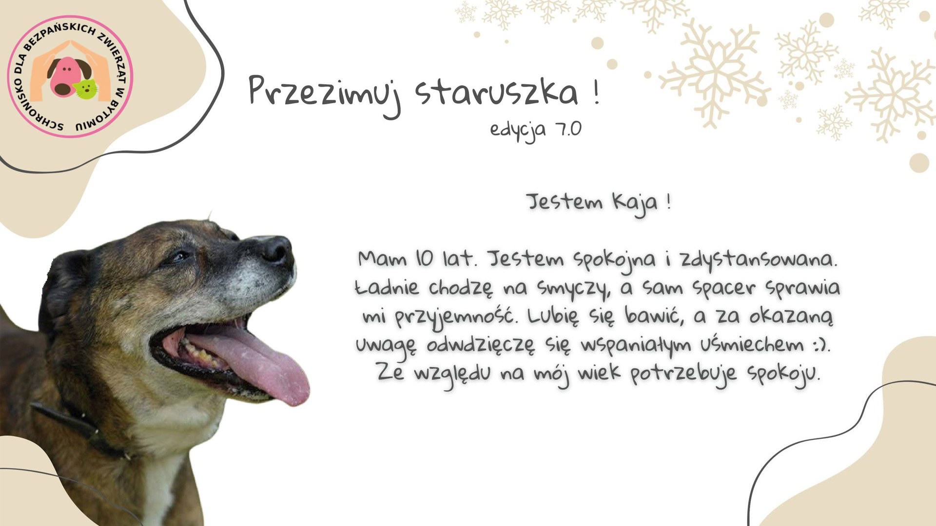 Przezimuj staruszka