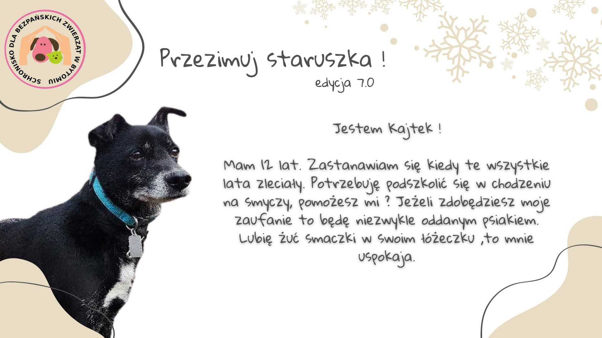 Przezimuj staruszka