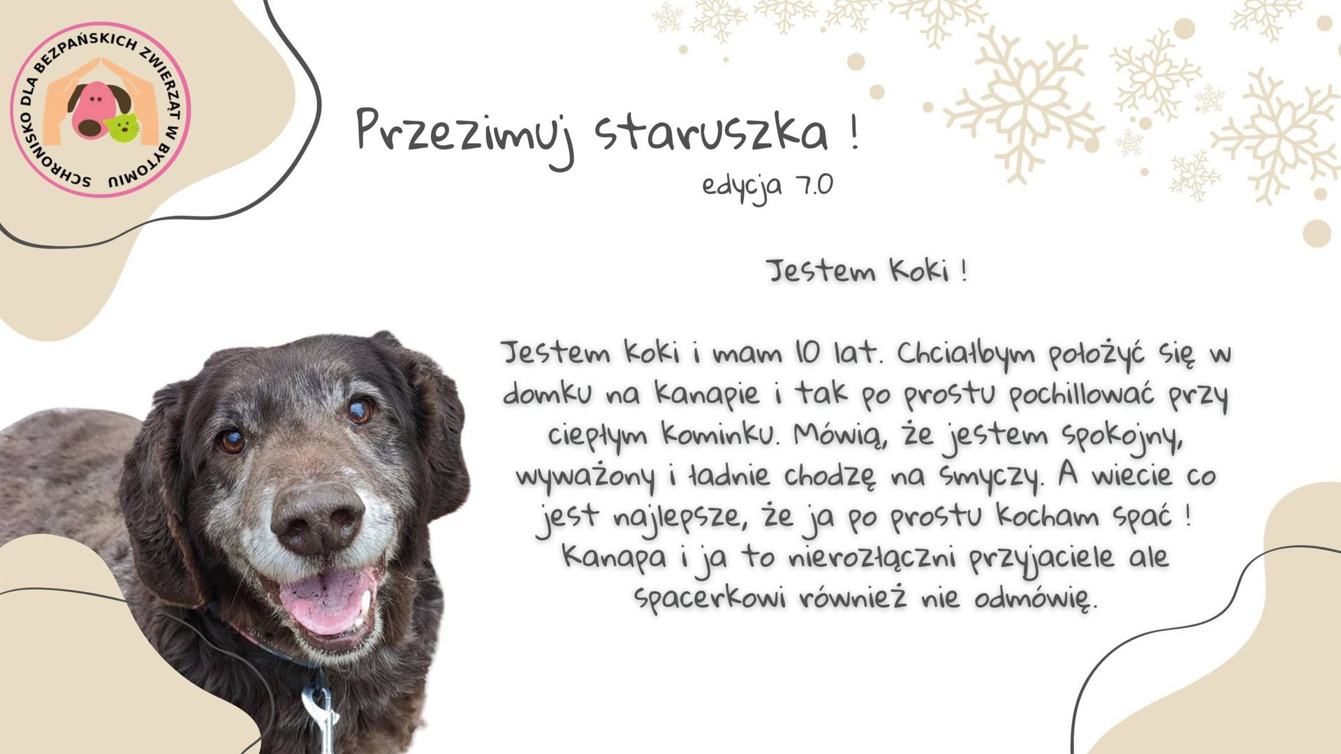 Przezimuj staruszka