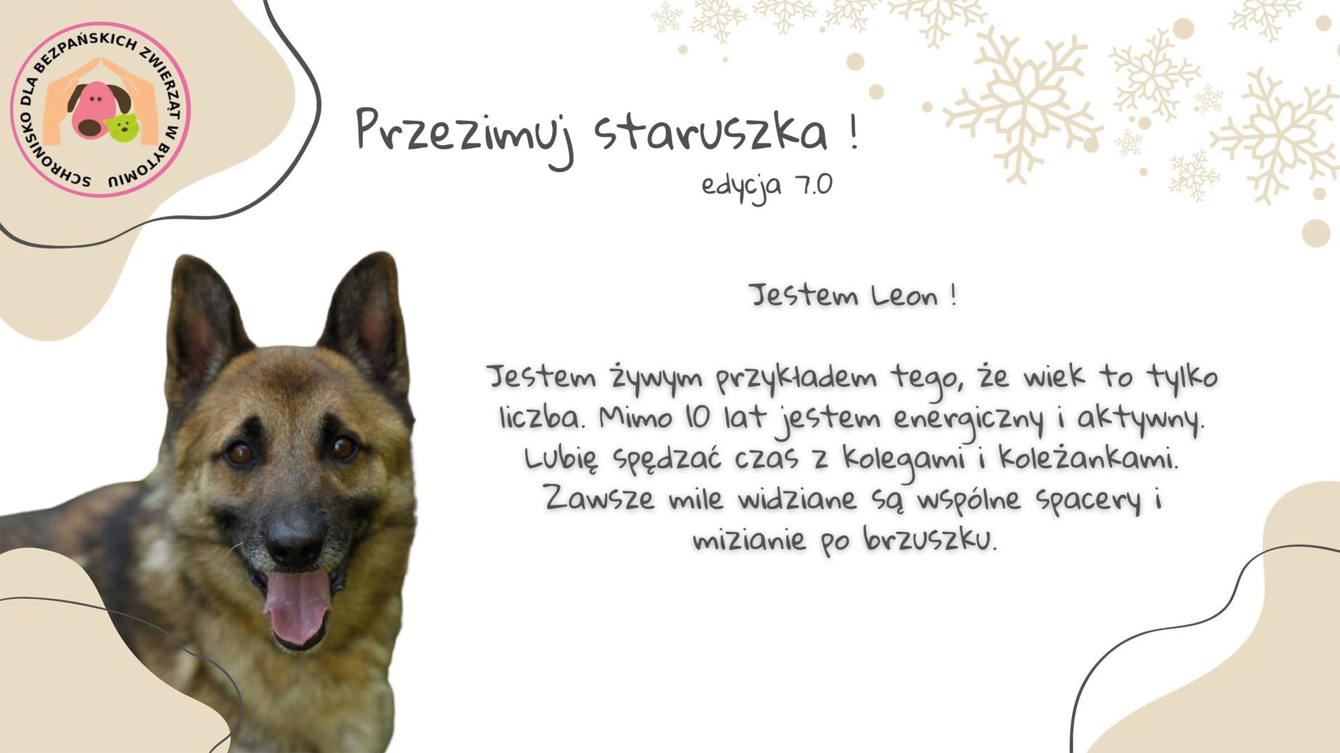 Przezimuj staruszka