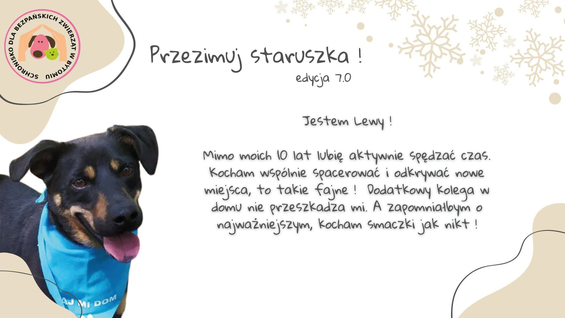 Przezimuj staruszka