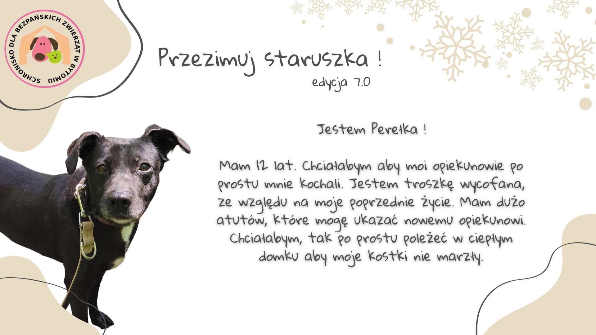 Przezimuj staruszka