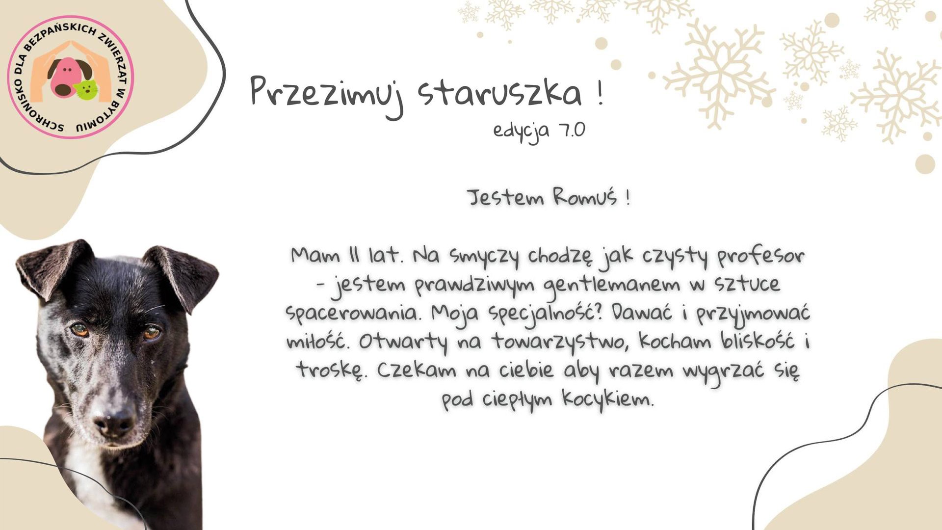 Przezimuj staruszka