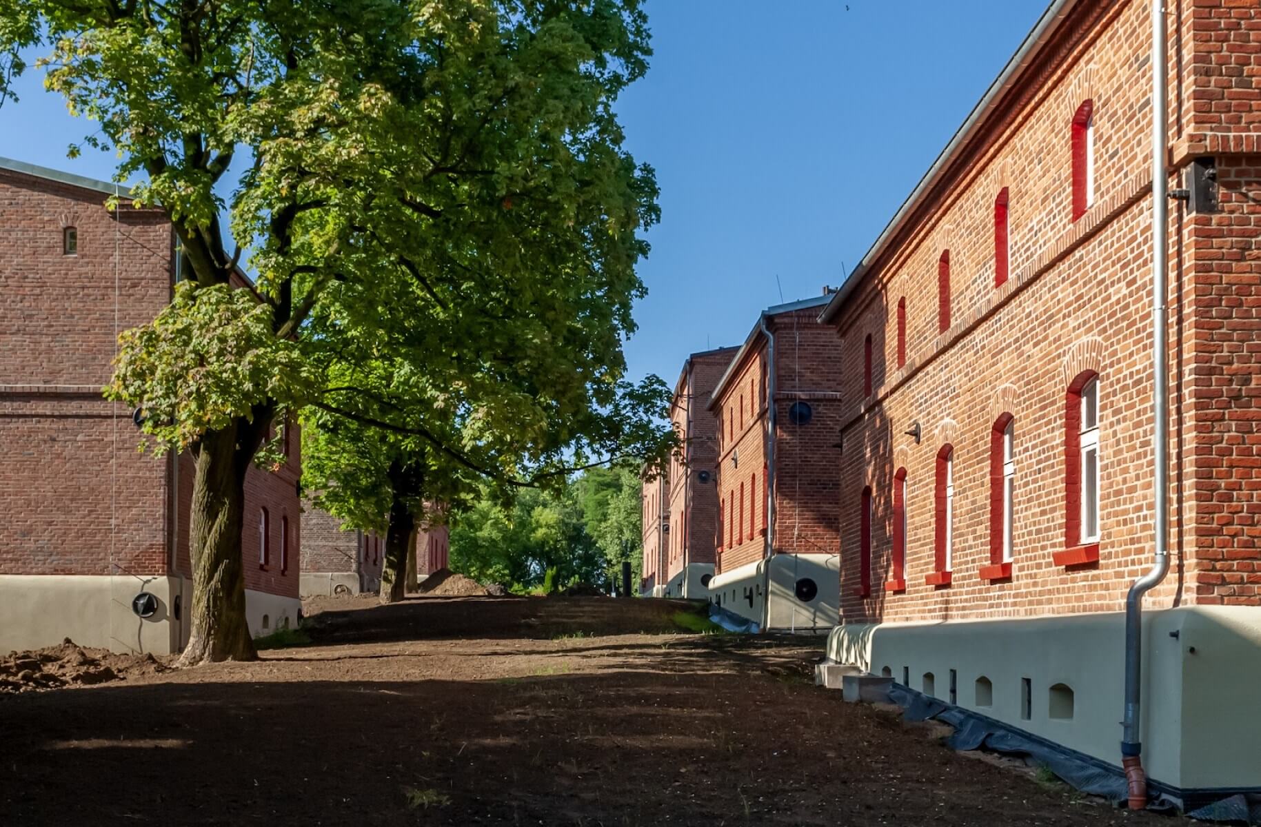 Trwa rewitalizacja Kolonii Zgorzelec w Bytomiu