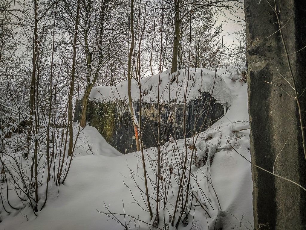 Spacer zabie fortyfikacje 02