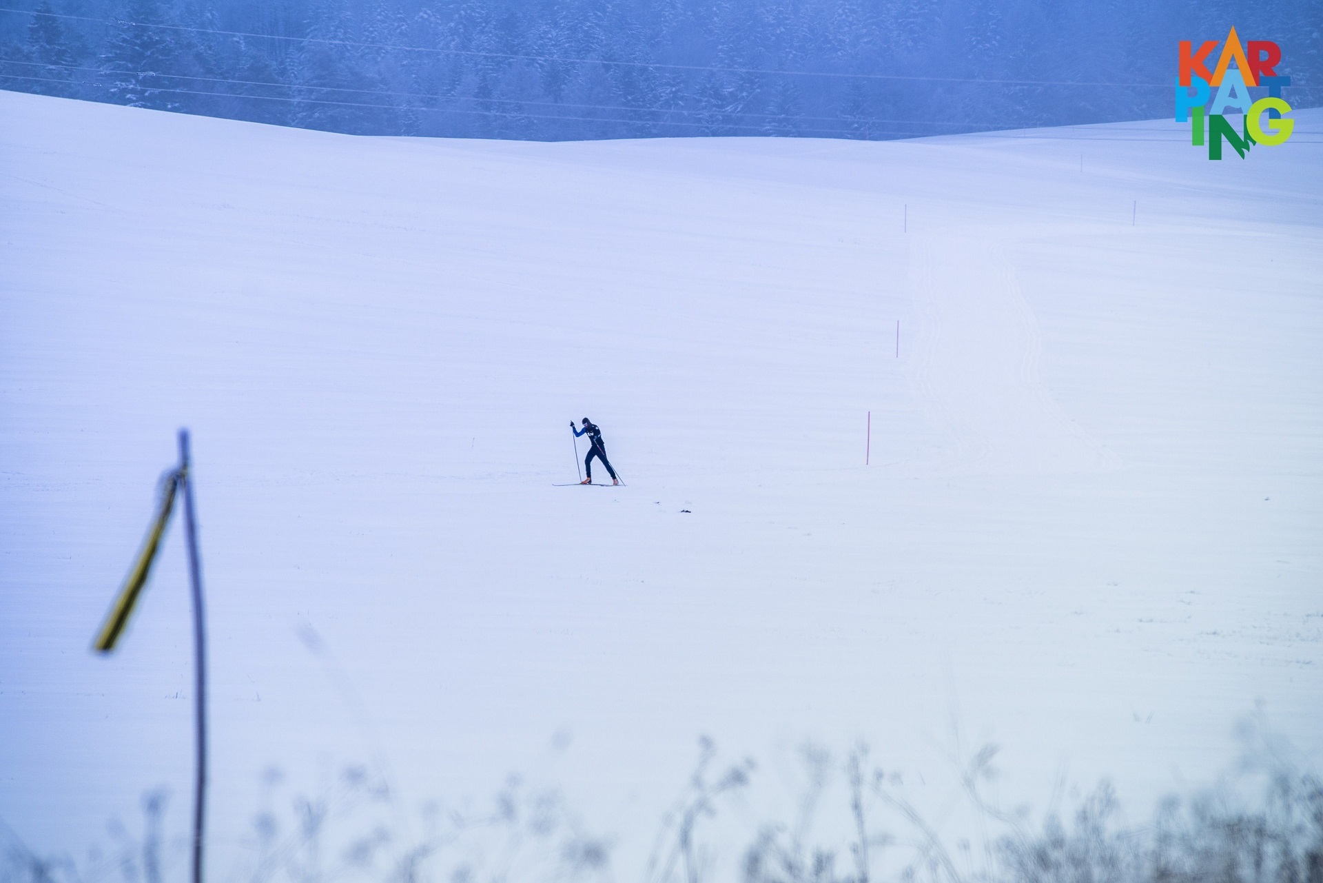 Śnieżne trasy przez lasy foto Natalia Pacana Roman