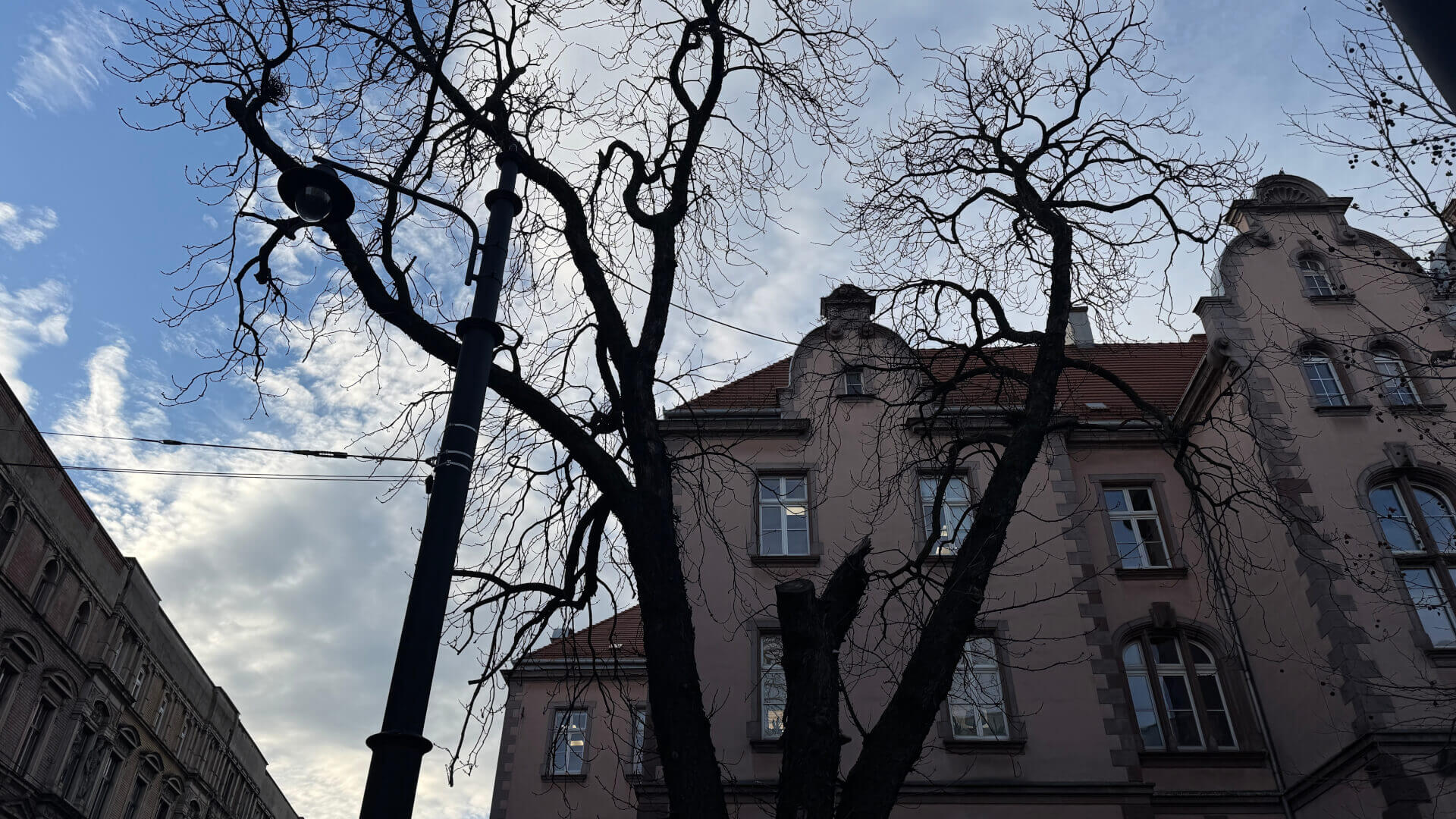 Nowy pomnik przyrody