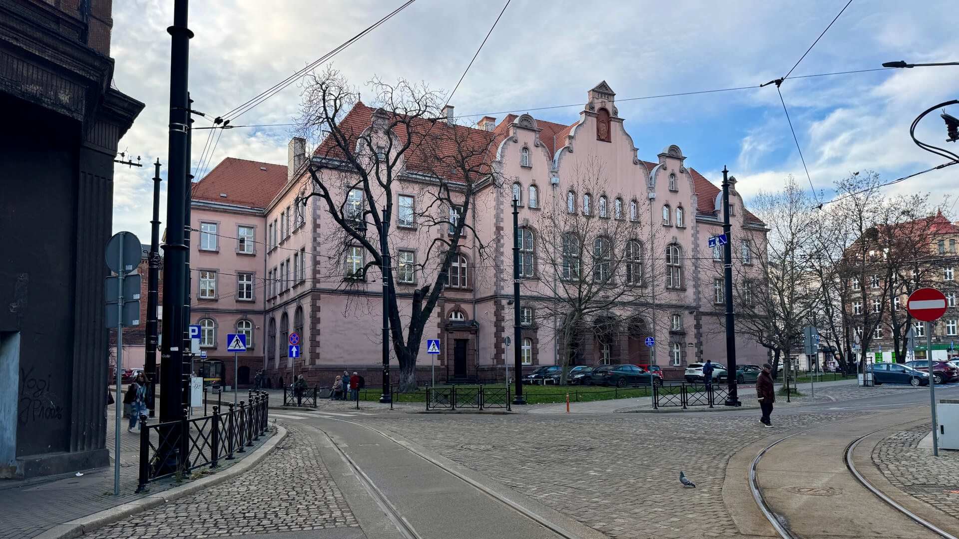 Nowy pomnik przyrody w Bytomiu. To 150-letni kasztanowiec biały ze Śródmieścia