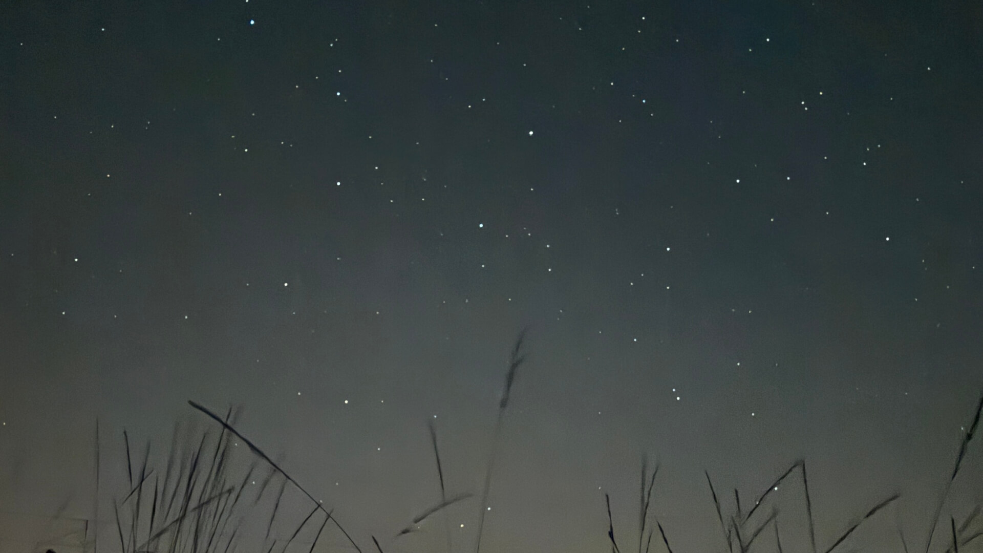 Rój meteorów nad Bytomiem, czyli Noc Perseidów 2025