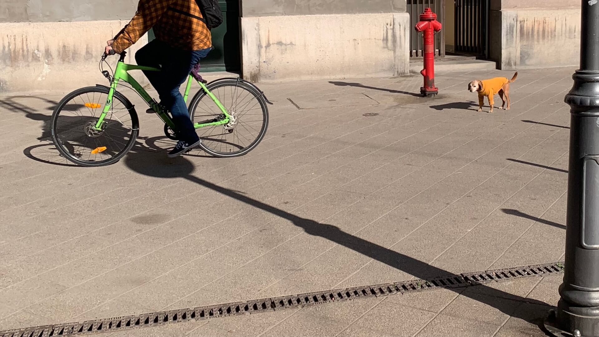 2,5 tysiąca złotych mandatu za jazdę na rowerze w stanie nietrzeźwości dla mieszkańca Bytomia