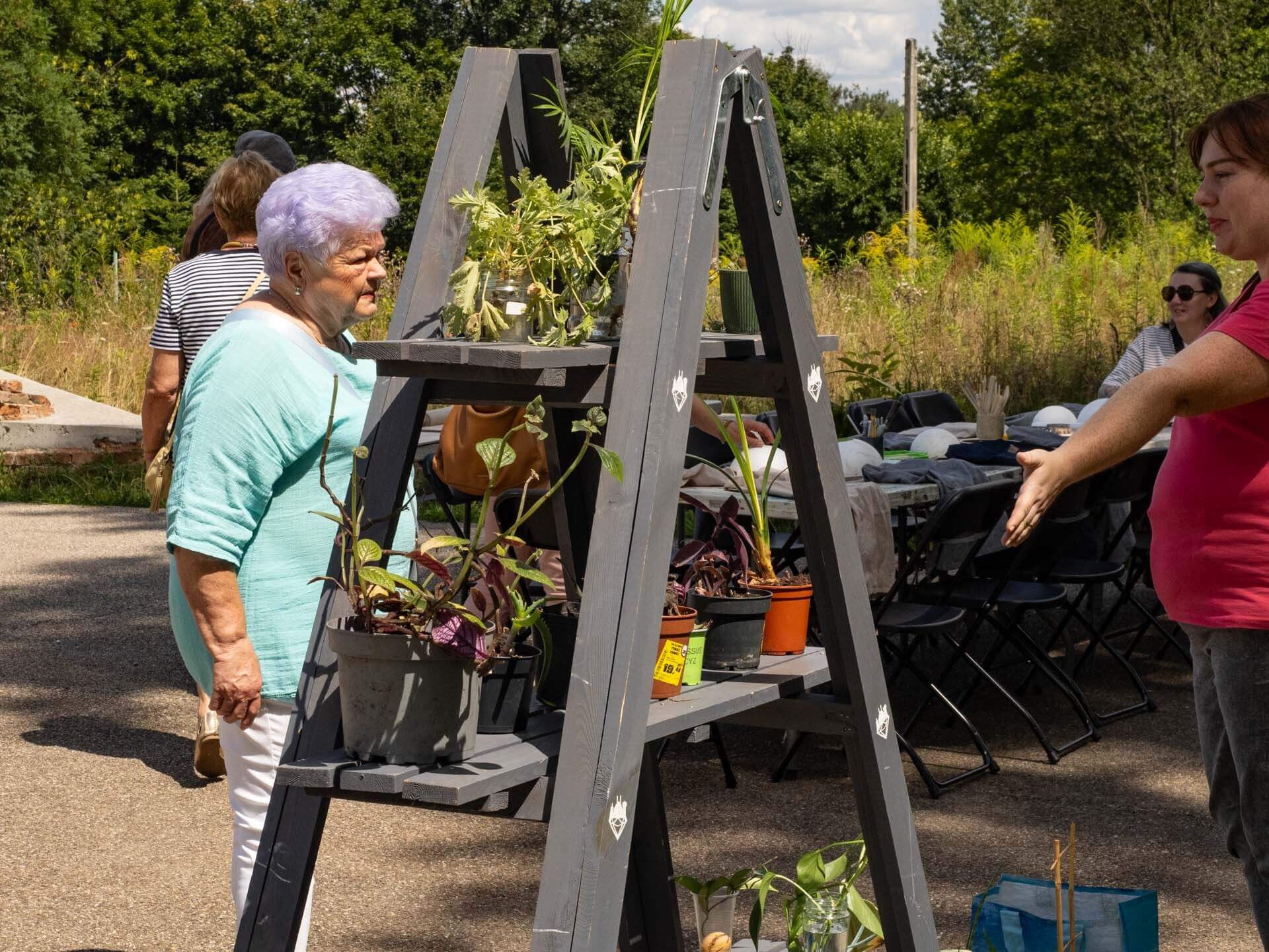 Święto Pszczół w Bytomiu