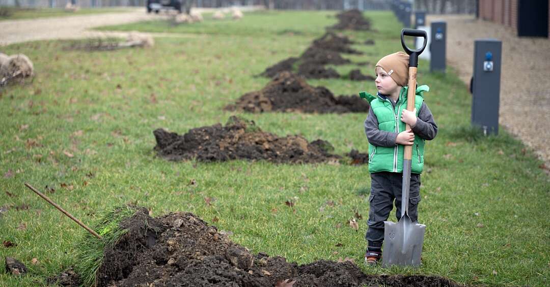 100 nowych drzew w Rozbarku. Lipy i klony posadzono z okazji 100-lecia bytomskiego hufca ZHP