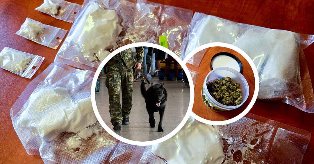 Pies pomógł wykryć narkotyki w mieszkaniach. Wspólny sukces Policji i Straży Granicznej