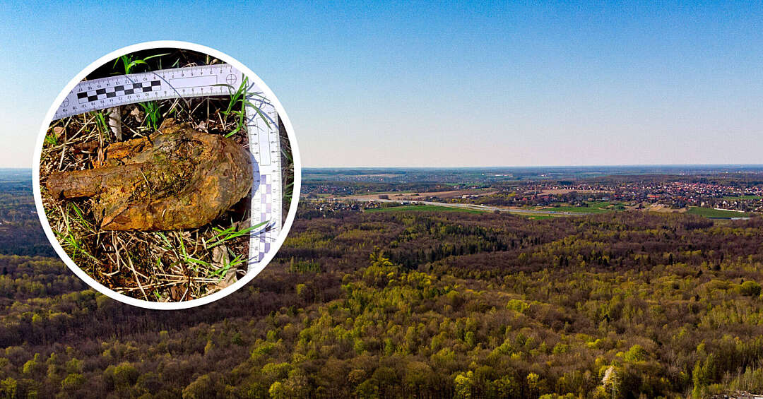 Saperzy w bytomskim lesie. Znaleziono pocisk sprzed ponad 80 lat