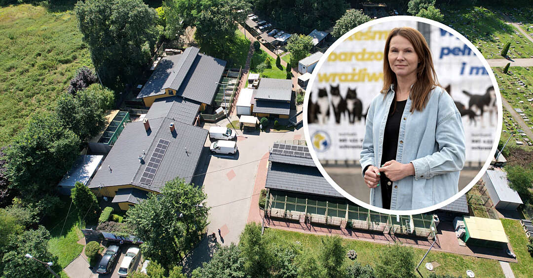 Nowe rządy w bytomskim schronisku. Decyzja komisji była jednogłośna