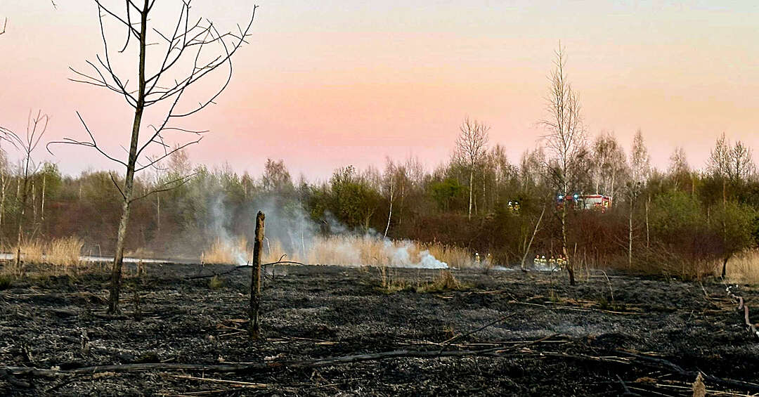 Żabie Doły stanęły w płomieniach. To było celowe podpalenie?