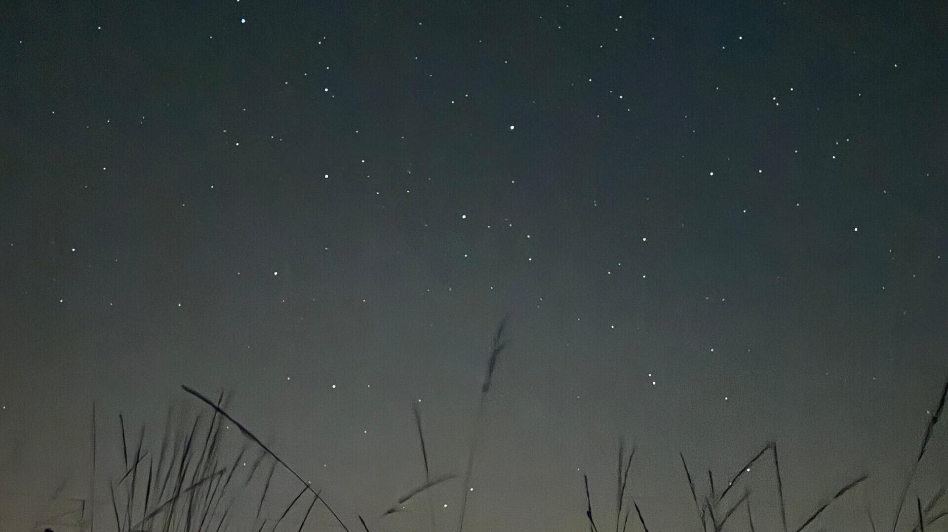 Noc Perseidów 2025 Noc Perseidów 2025