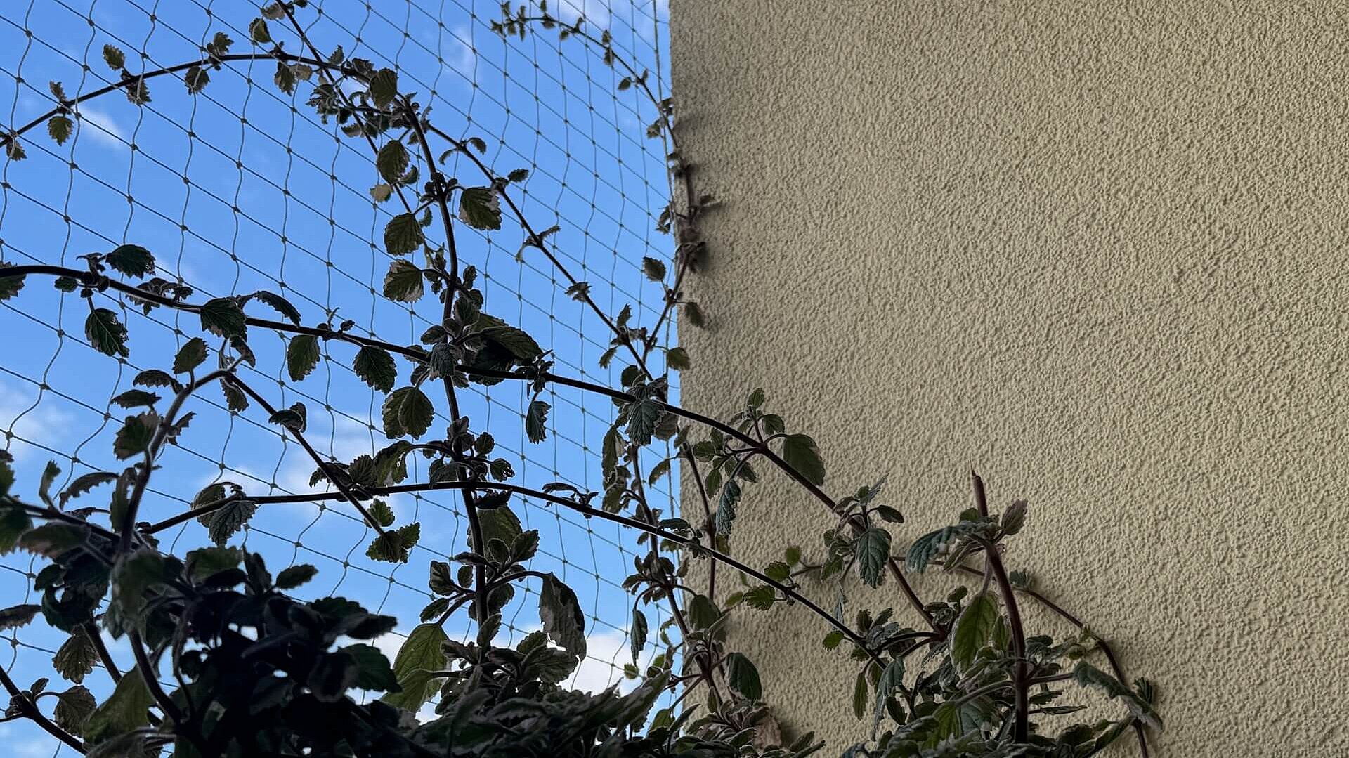 Trwa konkurs na najpiękniejszy balkon Trwa konkurs na najpiękniejszy balkon