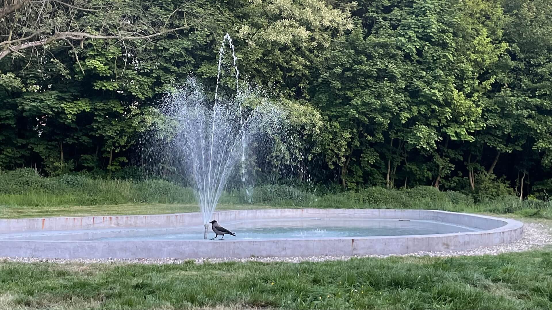 Fontanna w Parku Mickiewicza Fontanna w Parku Mickiewicza