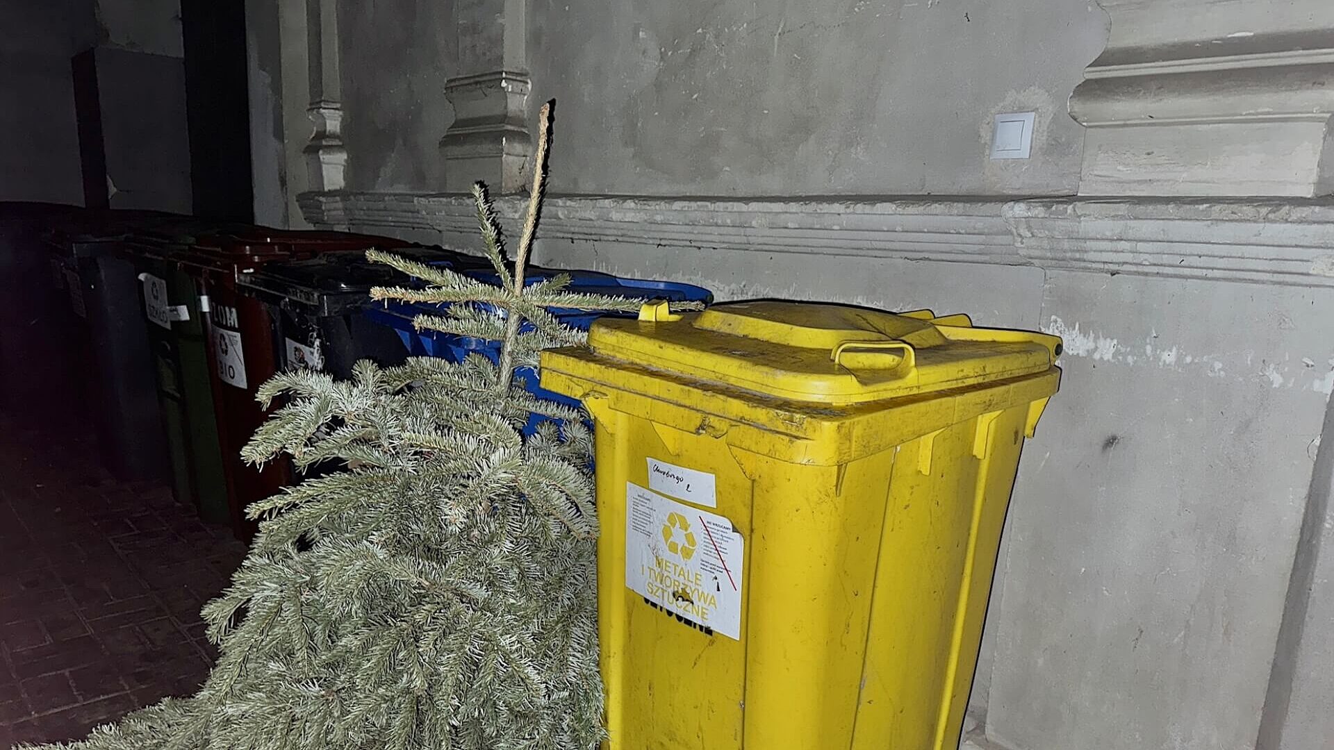 Daj choince drugie życie Daj choince drugie życie