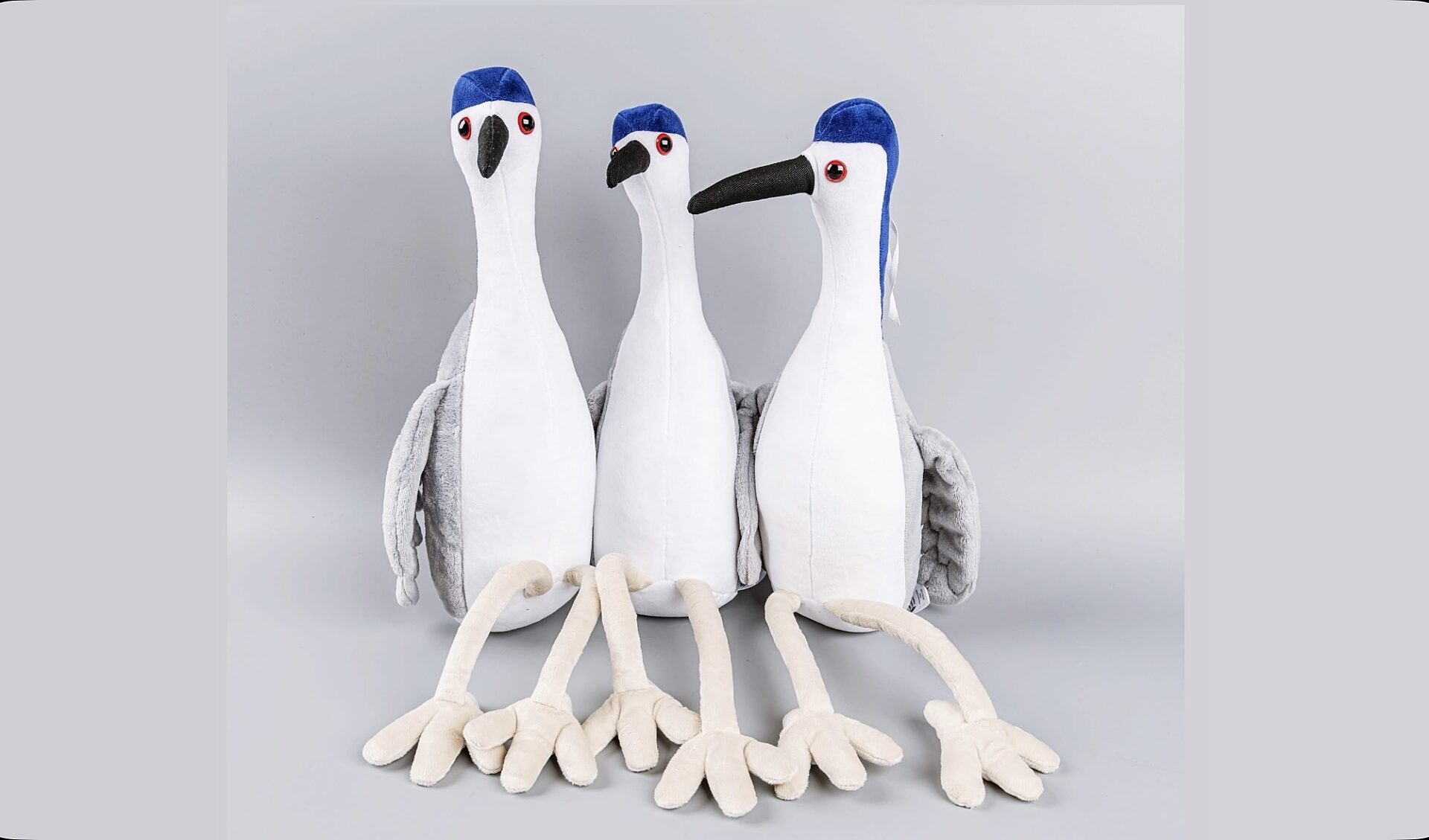 Ślepowron muzealną maskotką Ślepowron muzealną maskotką