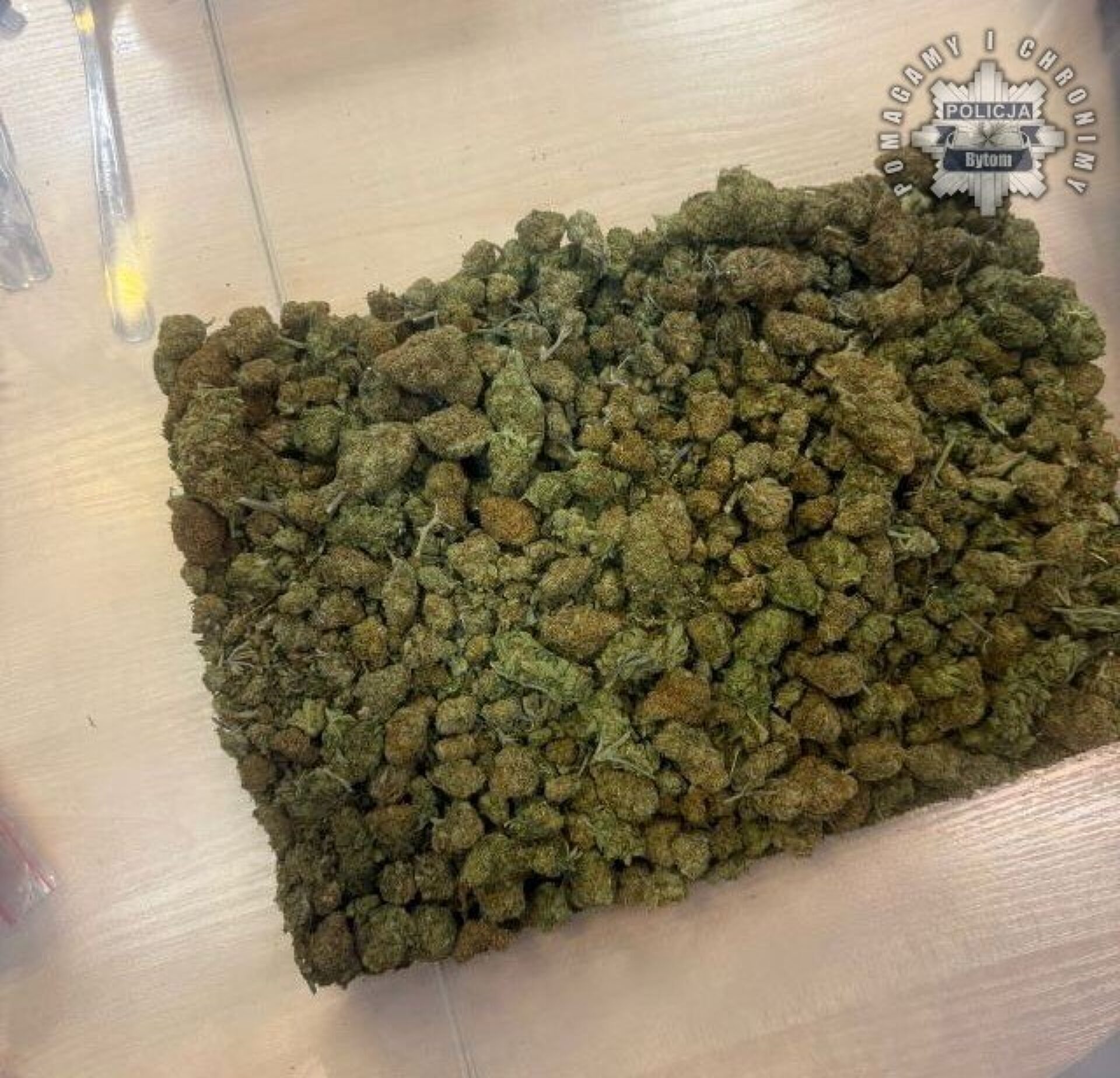 Marihuana znaleziona w mieszkaniu dilera Marihuana znaleziona w mieszkaniu dilera