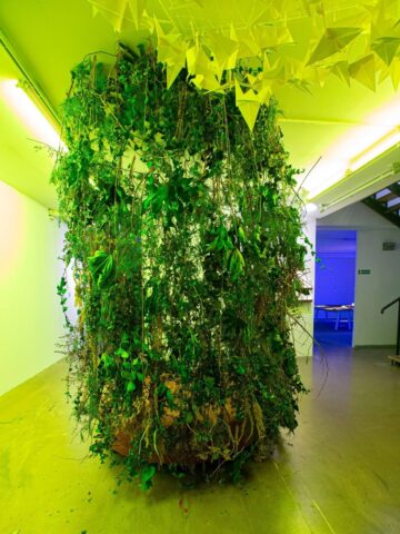 I wkroczyłam w świat pełen zmartwień I wkroczyłam w świat pełen zmartwień