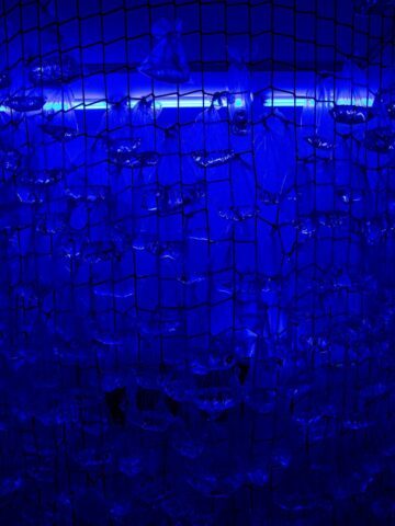 I wkroczyłam w świat pełen zmartwień I wkroczyłam w świat pełen zmartwień