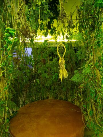 I wkroczyłam w świat pełen zmartwień I wkroczyłam w świat pełen zmartwień