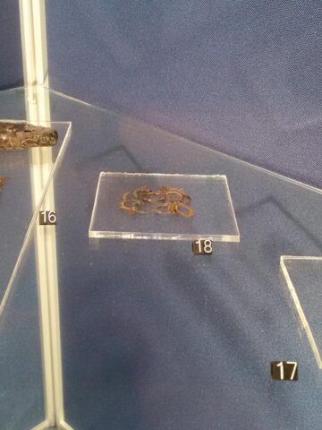 Archeologiczna wystawa stała w Muzeum w Wodzisławiu Śląskim Archeologiczna wystawa stała w Muzeum w Wodzisławiu Śląskim