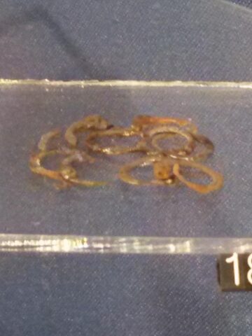 Archeologiczna wystawa stała w Muzeum w Wodzisławiu Śląskim Archeologiczna wystawa stała w Muzeum w Wodzisławiu Śląskim