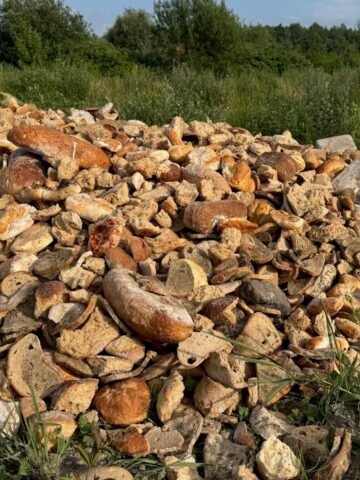 Nielegalne składowisko na Żabich Dołach Nielegalne składowisko na Żabich Dołach